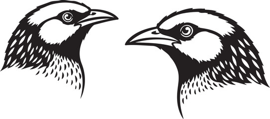 vector illustration of an eagle