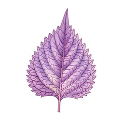 Watercolor Illustration of a Fluffy Llama on White Background for Artistic Projects