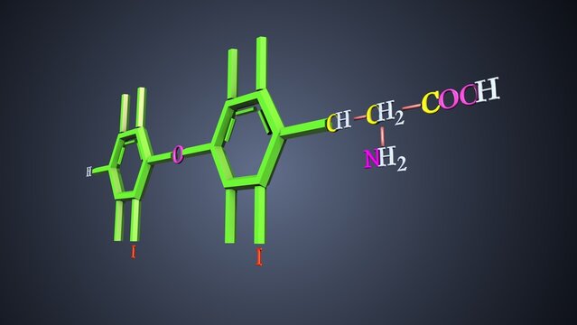 triiodothyronine formula anatomy. 3d illustrations