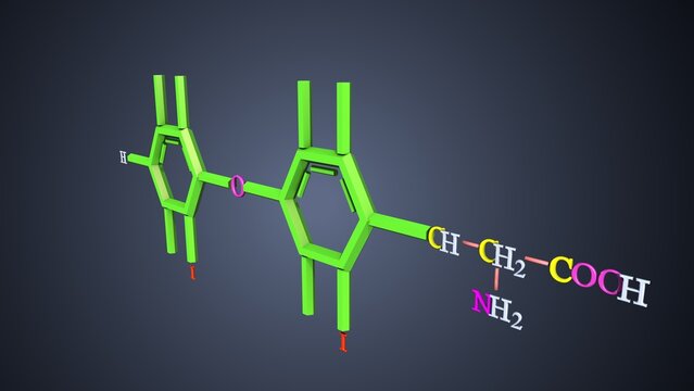 triiodothyronine formula anatomy. 3d illustrations