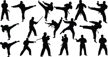 Martial arts silhouette, combat pose, high kick, weapon technique, traditional uniform, black outline, white background, training stance, fighter motion, discipline