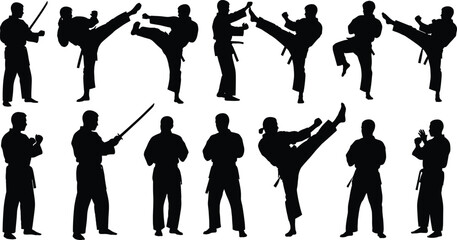 Martial arts silhouette, combat stance, high kick, weapon pose, traditional uniform, black outline, white background, fighter motion, training discipline, technique