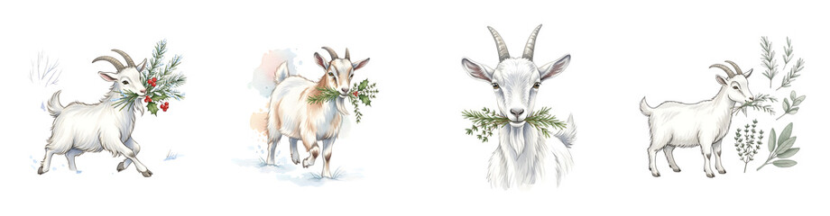 Four detailed watercolor illustrations of white goats holding foliage in their mouths isolated transparent background