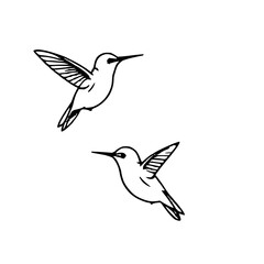 Naklejka premium Two Hummingbird Icons: Stylized Black Silhouettes