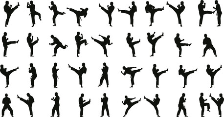 Martial arts silhouette, high kick, combat stance, striking pose, defensive movement, black outline, white background, training motion, discipline, technique