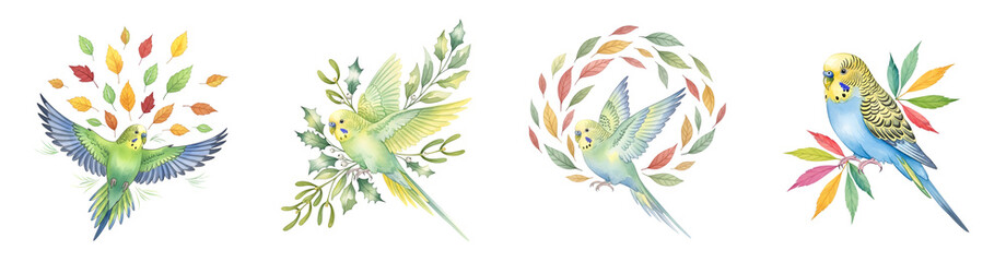 Four illustrations of budgerigars with autumn leaves and foliage parakeet transparent background