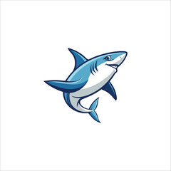 vector illustration of a shark