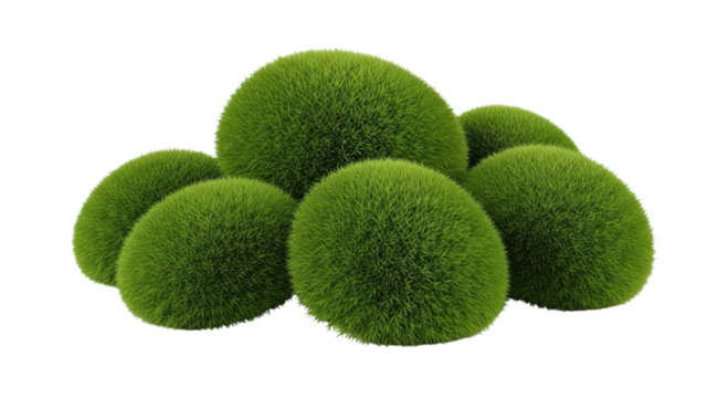 Mossy easter eggs transparent background cutout png