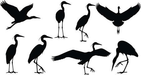 Obraz premium Black heron silhouettes vector collection, flying and standing egret birds isolated on white background, wetland animal illustration set for graphic design