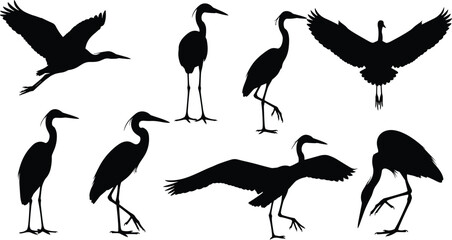 Naklejka premium Black silhouette collection of heron and crane birds, standing and flying animals isolated on white background, vector illustration set for wetland wildlife design