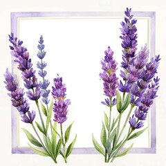 Obraz premium Watercolor lavender flowers floral frame design element