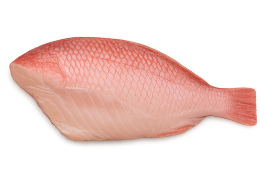 Raw red snapper fish fillet with scales, fresh seafood for healthy cooking, isolated on transparent background