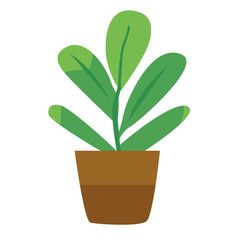 Indoor hanging houseplant. Vector cartoon illustration