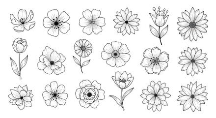 Collection of hand-drawn black and white floral illustrations on a white background.