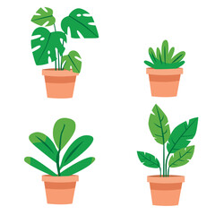 Set of Indoor hanging houseplants decoration collection. Vector cartoon illustration