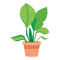 Indoor hanging houseplant. Vector cartoon illustration