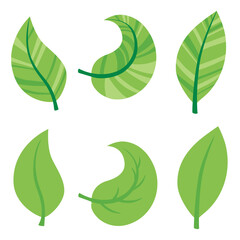 set of different types of green leaves. Concept for nature-themed designs and eco-friendly projects. Vector illustration