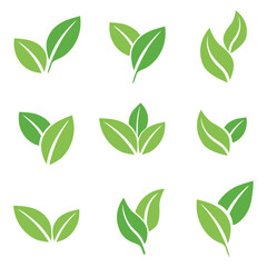 set of different types of green leaves. Concept for nature-themed designs and eco-friendly projects. Vector illustration