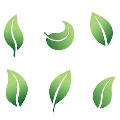 set of different types of green leaves. Concept for nature-themed designs and eco-friendly projects. Vector illustration