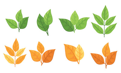 set of different types of green and autumn leaves. Concept for nature-themed designs and eco-friendly projects. Vector illustration