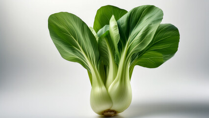 A whole bok choy standing upright on clean white surface