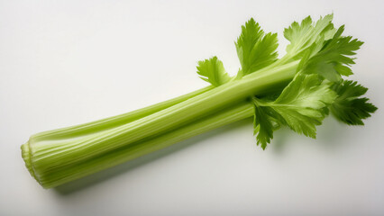 A single celery stick with crisp texture on pure white background