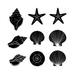 Collection of different black sea shells and starfish vector. Seashells black icons set silhouette illustration.