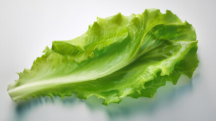 A single bright green lettuce leaf isolated cleanly on white