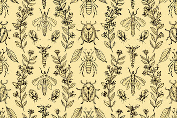 Seamless pattern of hand drawn doodle insects and plants on pale yellow background vector
