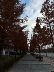 가을 풍경