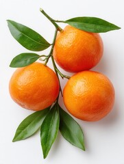 Three ripe oranges with vibrant green leaves arranged on a white background. Ideal for food-related themes and healthy lifestyle concepts.