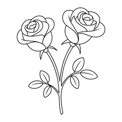 Two beautiful rose flowers with leaves in simple line art style