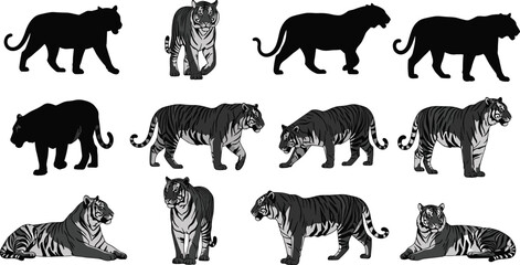 Tiger silhouette vector, wild animal clipart, big cat poses, jungle predator icons, black tiger illustration, editable wildlife design elements