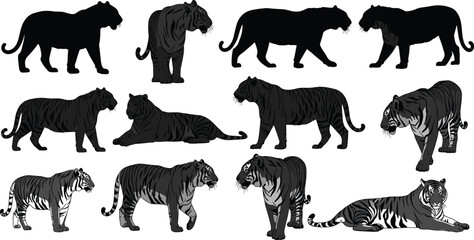 Tiger silhouette vector, detailed tiger clipart, wild animal poses, jungle predator illustration, black and white tiger artwork, editable design