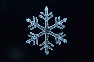 Macro Snowflake Texture Close up of intricate ice crystal patterns on a dark background. Ultra macro photograph of a single, perfectly formed snowflake against a deep black background. Focus on the