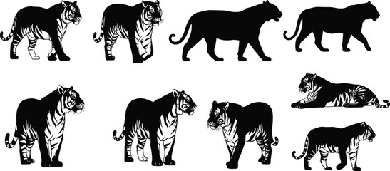 Tiger silhouette vector, black and white tiger clipart, wild animal poses, jungle predator illustration, editable wildlife design, big cat artwork
