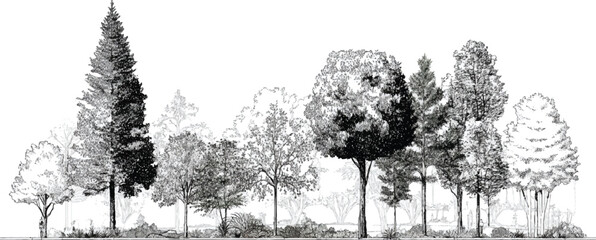 Naklejka premium Black and white sketch of diverse trees and foliage against a white background forest nature