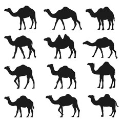 Camel Silhouettes Set design collection