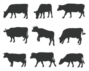Diverse Silhouettes of Farm Cattle Grazing and Standing