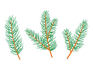 Pine branch, cartoon christmas decorative winter seasonal