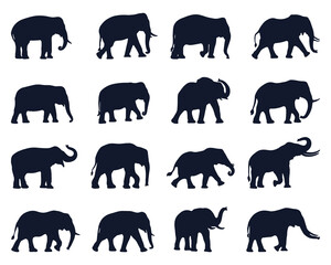 Collection of Elephant Silhouettes in Various Poses