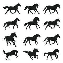Collection of Silhouette Horse illustration Graphics