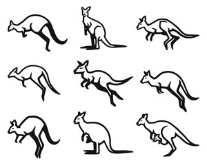 Kangaroos Set of black and white line art kangaroo illustrations