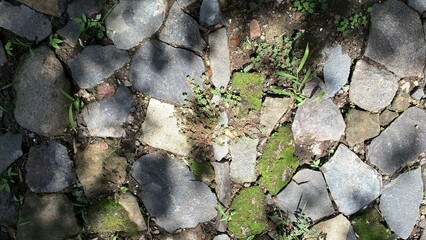 Outdoor Cobblestone Texture Mixed with Soil for Landscape Architecture Design