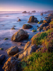Serene coastal landscape with rocky shoreline and vibrant vegetation under soft sunset light, featuring calm ocean waves blending into the horizon haze