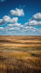 Obraz premium Open field of golden grass under a bright, partly cloudy sky