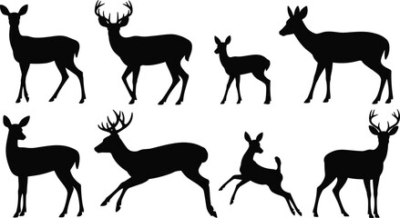 PrintCollection of elegant deer, stag, and fawn silhouettes in various poses, detailed wildlife vector illustration set perfect for forest nature design