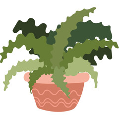 Potted green leafy plant with wavy edges in a terracotta pot with wave pattern on a transparent background