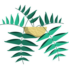 Potted Plant With Green Fern Fronds On Transparent Background Minimalist Graphic Design Botanical Element