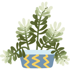 Potted Succulent Plant With Green Leaves In A Blue And Yellow Zigzag Patterned Pot On A Transparent Background